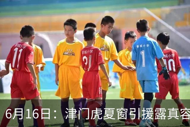 6月16日：津门虎夏窗引援露真容，于根伟放弃边缘球员，国安落选国脚或成全新王牌